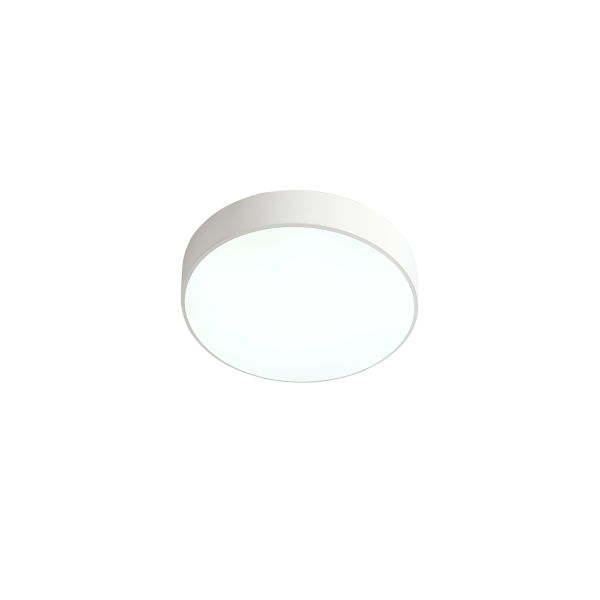 Потолочный светильник Zortes TORTTY ZRS.02564.36, Мощность - 36Вт, Тип лампы:  LED  SMD2835，Оптолинза RIO , В -50мм / Ш - ø300мм