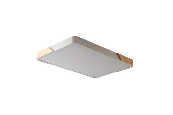 Светильник ZORTES ALBERRO ZRS.01233.60, Мощность - 60Вт, Тип лампы: LED, В - 50мм / Д - 420мм / Ш - 650мм