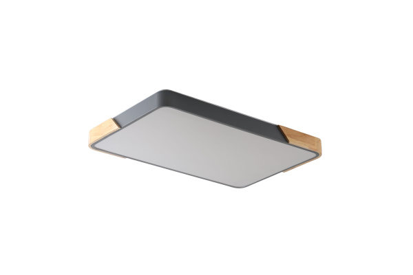 Светильник ZORTES ALBERRO ZRS.01277.60, Мощность - 60Вт, Тип лампы: LED, В - 50мм / Д - 420мм / Ш - 650мм