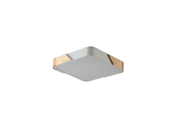 Светильник ZORTES ALBERRO ZRS.01285.60, Мощность - 60Вт, Тип лампы: LED, В - 50мм / Д - 600мм / Ш - 600мм