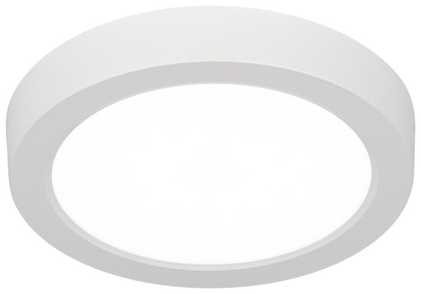 Светильник светодиодный ЭРА LED 19-24-6K накладной круглый 24Вт 6500К