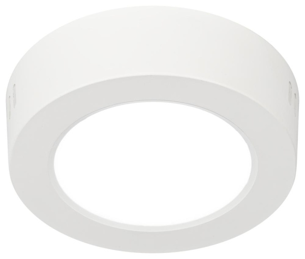 Светильник светодиодный ЭРА LED 19-12-6K накладной круглый 12Вт 6500К