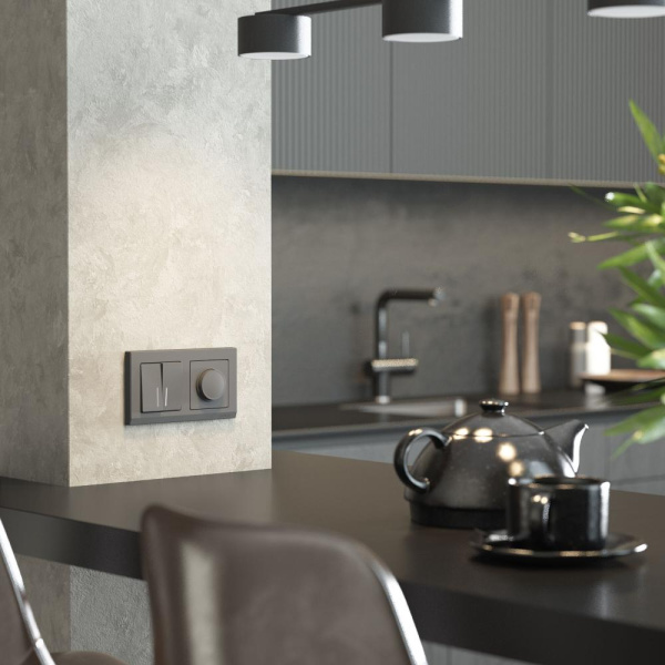 Выключатель двухклавишный с подсветкой (графит матовый) W1120164