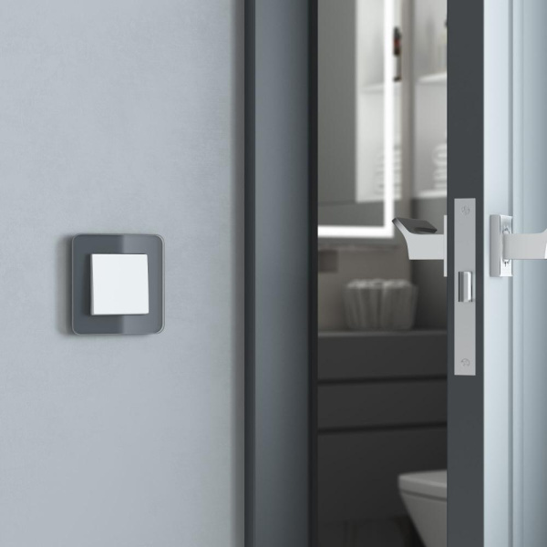 Выключатель одноклавишный проходной (белый матовый) W1112061