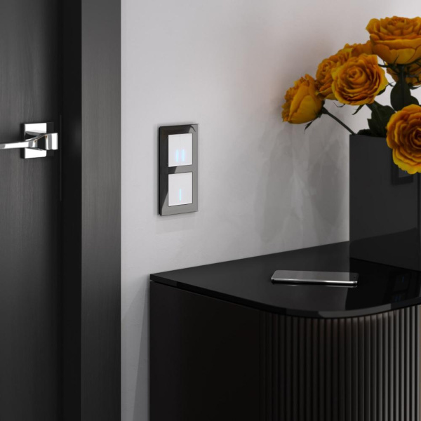 Умный сенсорный выключатель одноклавишный W4510601