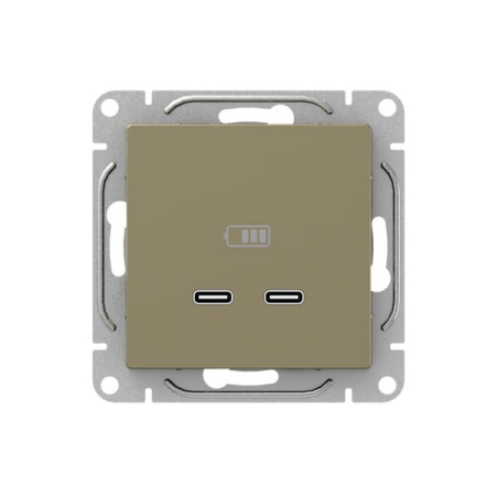 Механизм розетки USB-C - 2шт, шампань Эпика EKF