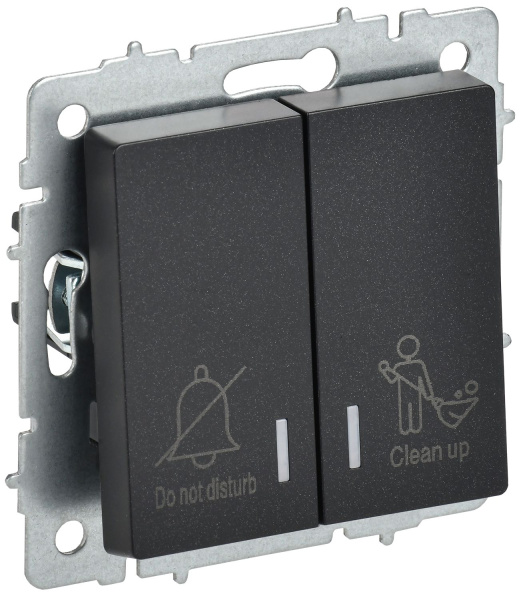 BRITE Выключатель 2-клавишный с индикацией для отелей 10А ВС10-2-9-БрЧ черный IEK