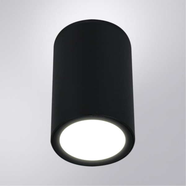 Уличный потолочный светильник Arte Lamp TORCULAR A1307PF-1BK