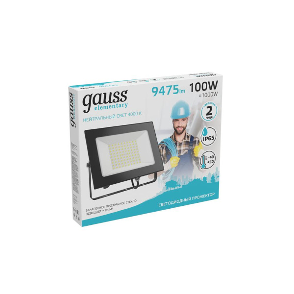 Прожектор светодиодный Gauss Elementary G2 100W 8995lm IP65 4000К черный 1/16