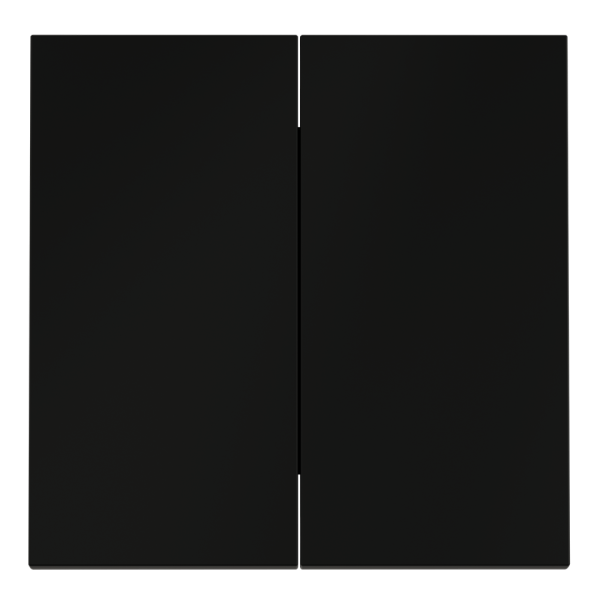 Клавиши для выключателя/переключателя двухклавишного, S70 (черный матовый)