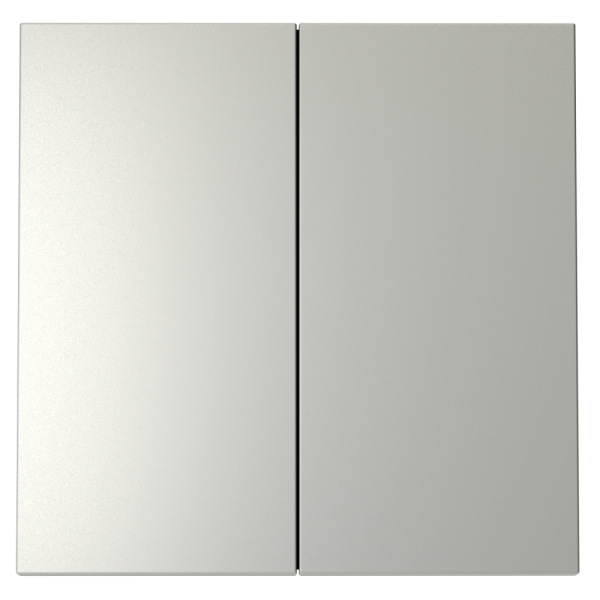 Клавиши для выключателя/переключателя двухклавишного, S70 (сталь)