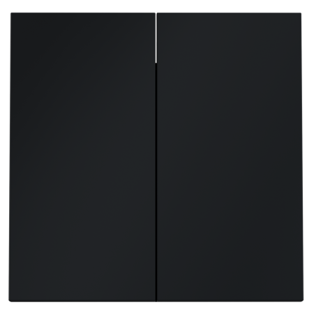 Клавиши для выключателя/переключателя двухклавишного, S70 (графит)