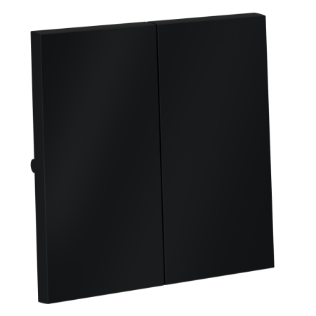 Клавиши для выключателя/переключателя двухклавишного, S70 (графит)