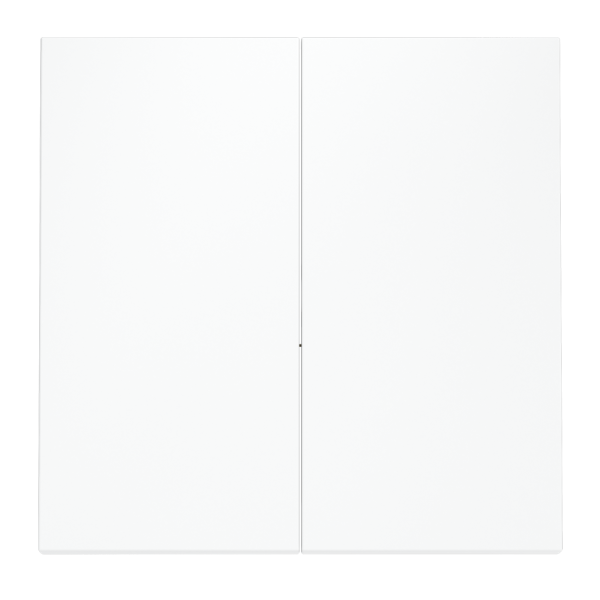 Клавиши для выключателя/переключателя двухклавишного, S70 (белый матовый)