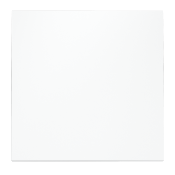 Клавиша для выключателя/переключателя одноклавишного, S70 (белый матовый)