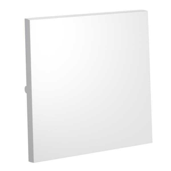 Клавиша для выключателя/переключателя одноклавишного, S70 (белый матовый)