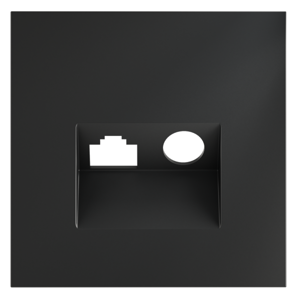 Накладка для розетки TV+RJ45 кат. 6, S70 (графит)