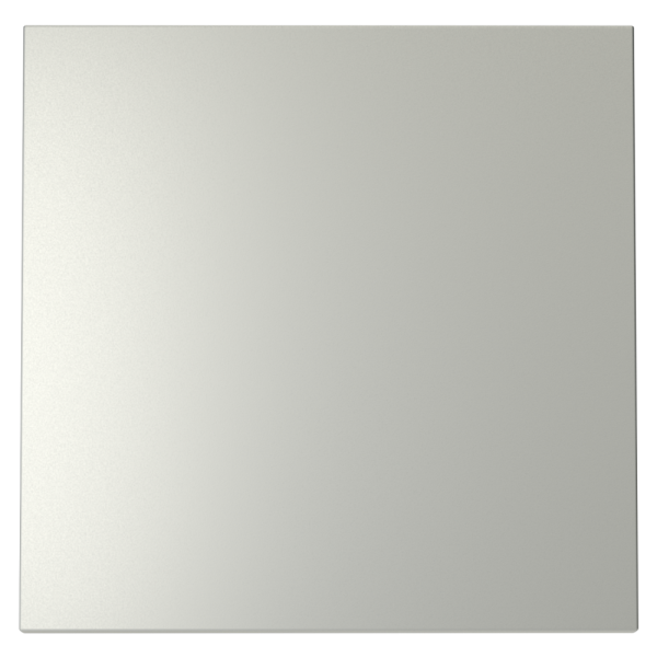 Клавиша для выключателя/переключателя одноклавишного, S70 (сталь)