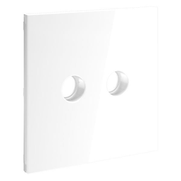 Накладка для розетки телевизионной оконечной TV+SAT, S70 (белый глянцевый)