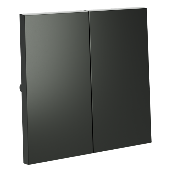 Клавиши для выключателя/переключателя двухклавишного, S70 (титан)