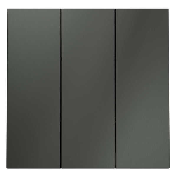 Клавиши для выключателя/переключателя трехклавишного, S70 (титан)