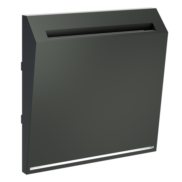 Накладка для выключателя карточного, S70 (титан)