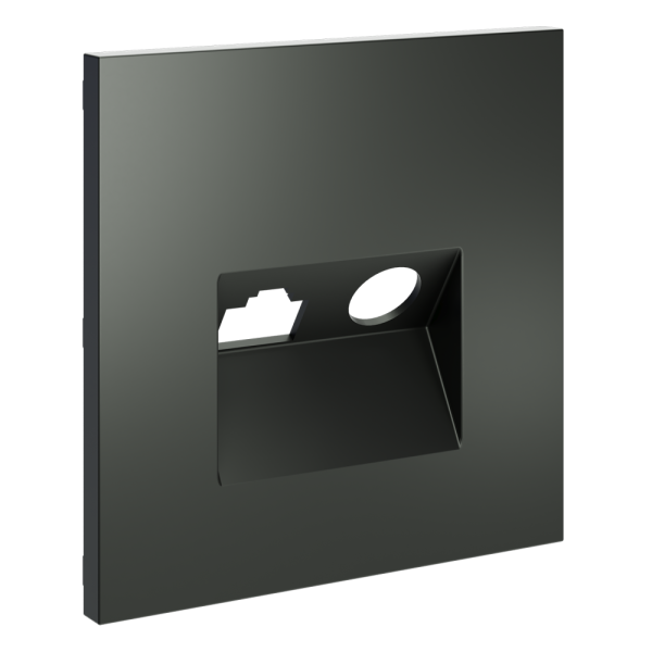 Накладка для розетки TV+RJ45 кат. 6, S70 (титан)