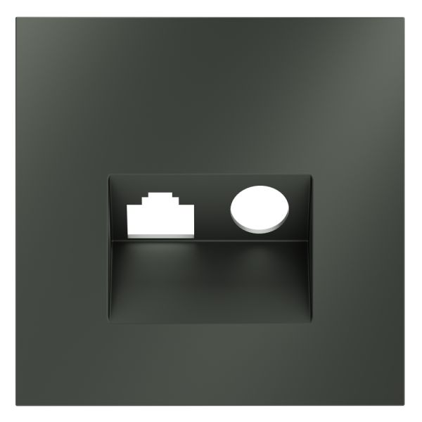 Накладка для розетки TV+RJ45 кат. 6, S70 (титан)