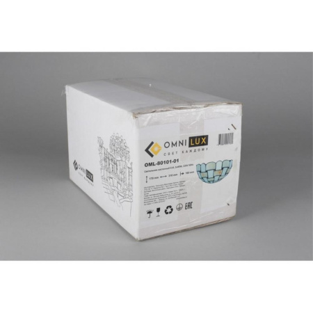 OML-80101-01