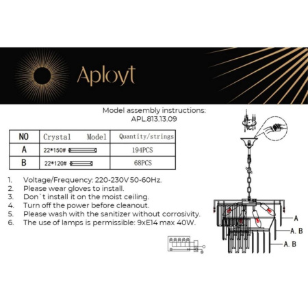 APL.813.13.09
