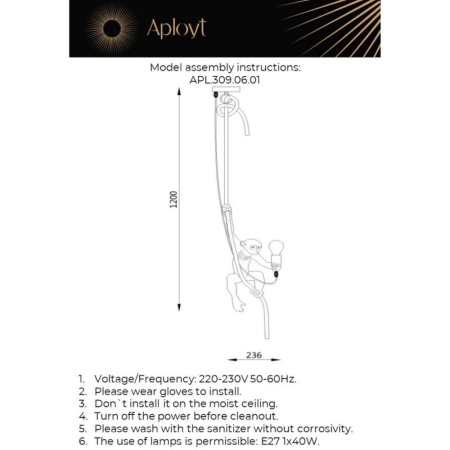 APL.309.06.01