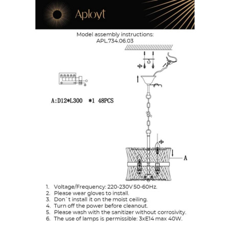 APL.734.06.03