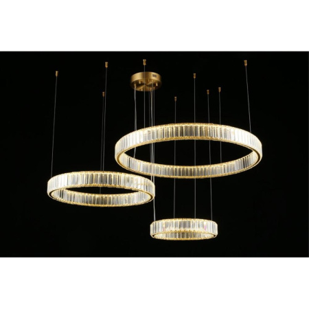 APL.026.03.100