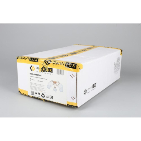 OML-24907-05