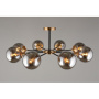 APL.909.07.08
