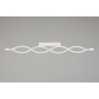 APL.002.02.36