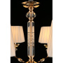 APL.719.03.06