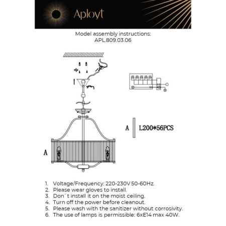 APL.809.03.06