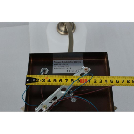 OML-55317-03