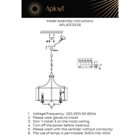 APL.613.03.05