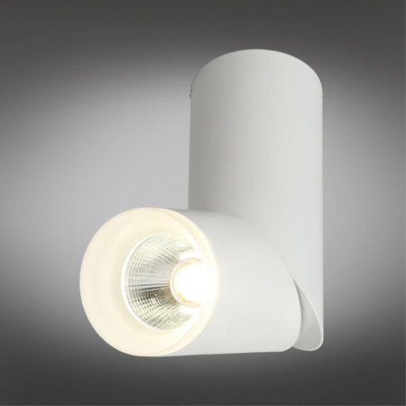 OML-100209-10