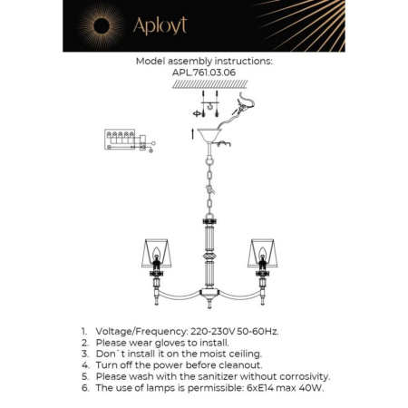 APL.761.03.06