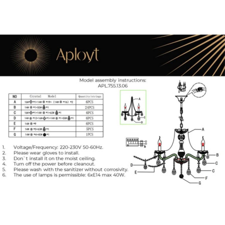 APL.755.13.06