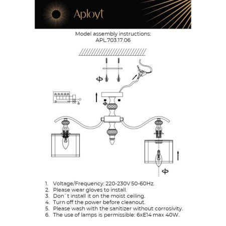 APL.703.17.06