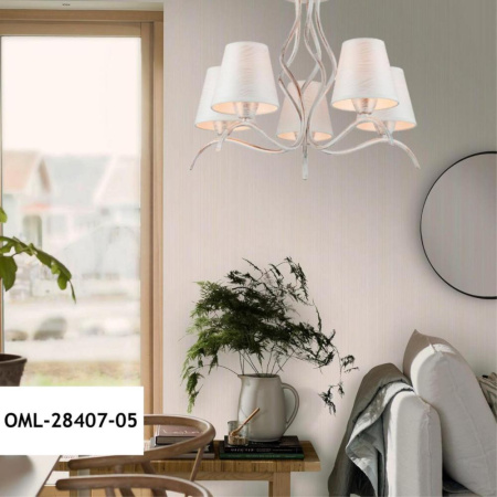 OML-28407-05
