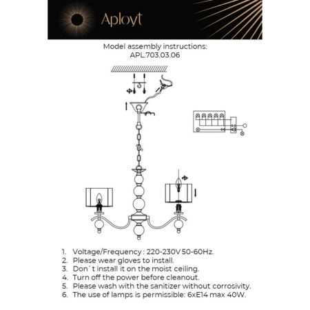 APL.703.03.06