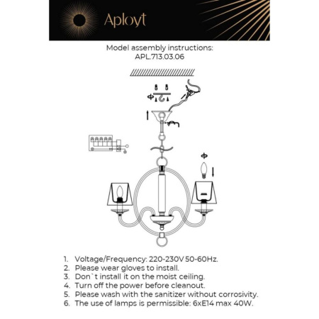 APL.713.03.06