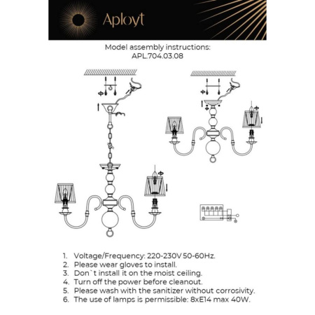 APL.704.03.08