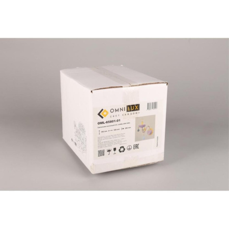 OML-65801-01