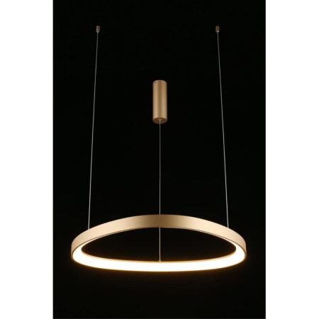 APL.022.03.48